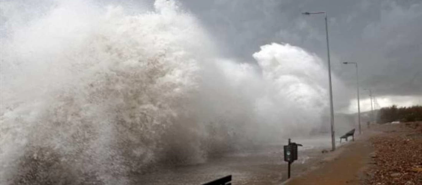 Λέσβος: Θυελλώδεις άνεμοι ξερίζωσαν υπεραιωνόβιο πλάτανο - Με καφενείο στην κουφάλα του (φωτο)